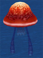 Grand Sea Jelly
