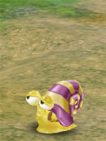 Sleepy Snail