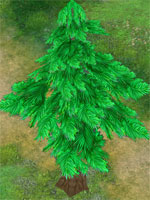 Tree of Fortune