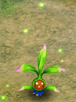Mystic Shrub