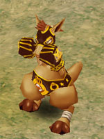 Boxeroo Champion